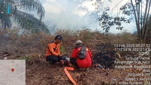 Tim gabungan sedang melakukan pemadaman dan pendinginan Karhutla di Kecamatan Siak Kecil yang dilakukan tim gabungan Bengkalis. (Foto: Tribun Pekanbaru)